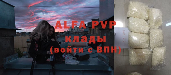 гидра Белокуриха