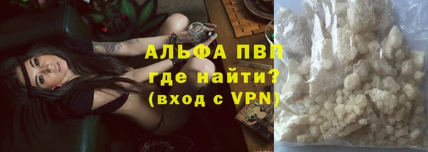 гидра Белокуриха