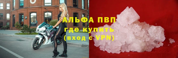гидра Белокуриха