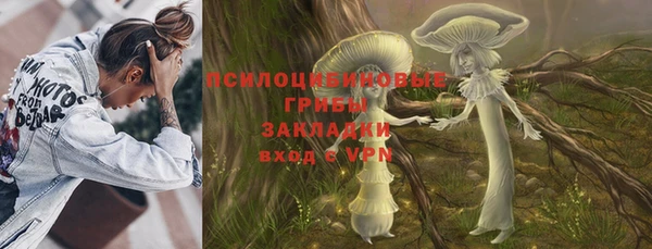 гидра Белокуриха