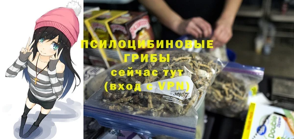 гидра Белокуриха