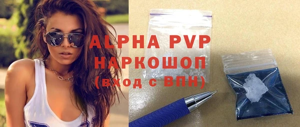 гидра Белокуриха