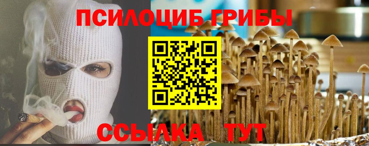 Псилоцибиновые грибы Magic Shrooms Гудермес