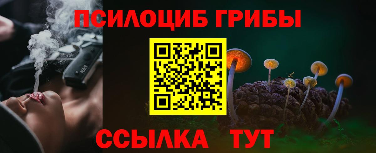 Псилоцибиновые грибы GOLDEN TEACHER  Псилоцибиновые грибы мицелий  Вход с VPN  Гудермес 